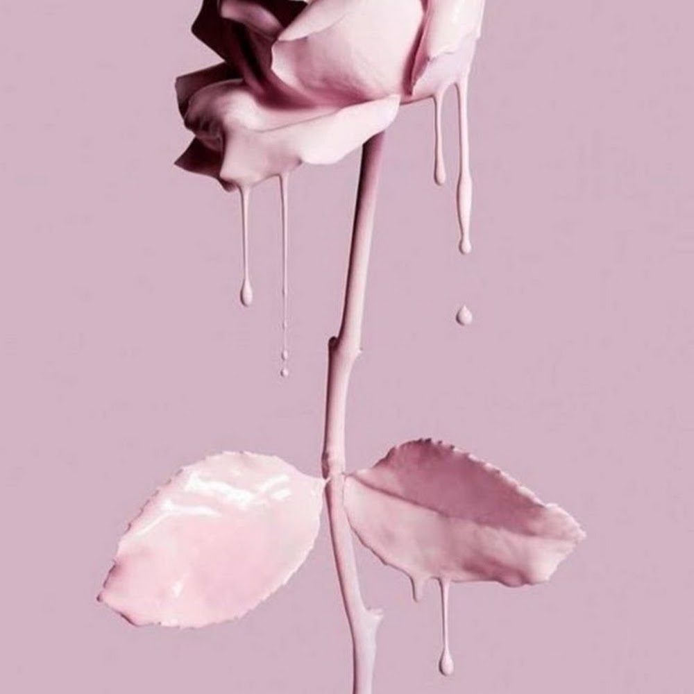 Meet your Posher, Scaredpegasus808